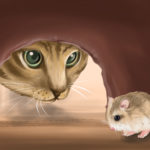 Кошка и крыса в одном доме — возможен ли мир?